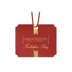 Automobilio aromatas "Forbidden Bay"
