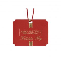 Automobilio aromatas "Forbidden Bay"